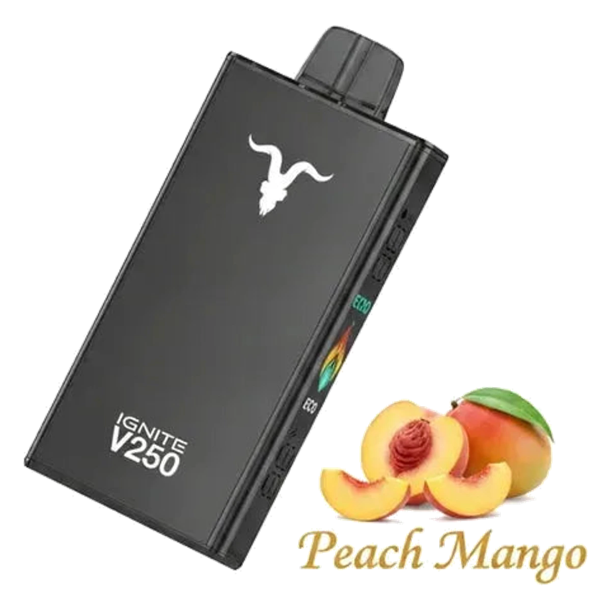 IGNITE V250 25000 Puffs Rechargeable Disposable Vape best price UAE — ESMA certified