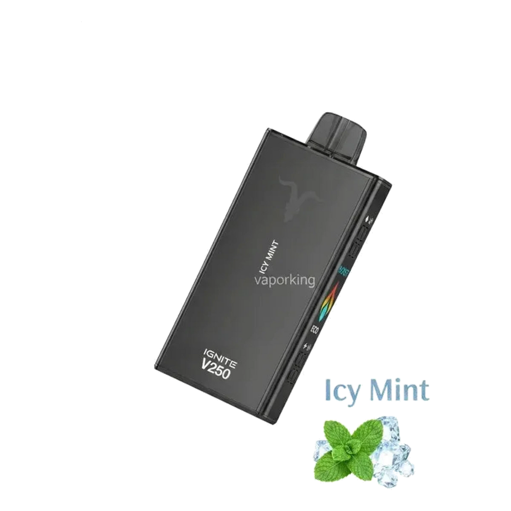 IGNITE V250 25000 Puffs Rechargeable Disposable Vape UAE — Buy Dubai | Emirates Vapor