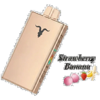 IGNITE V250 25000 Puffs Rechargeable Disposable Vape flavors UAE | Emirates Vapor Dubai