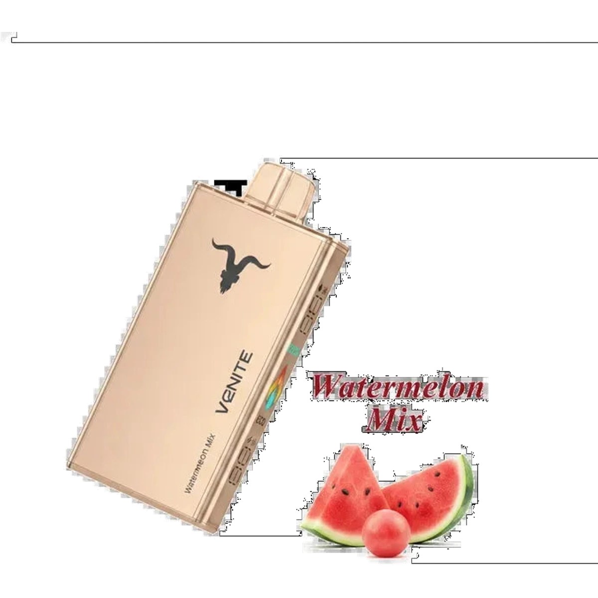 Buy IGNITE IGNITE V250 25000 Puffs Rechargeable Disposable Vape Dubai same-day delivery