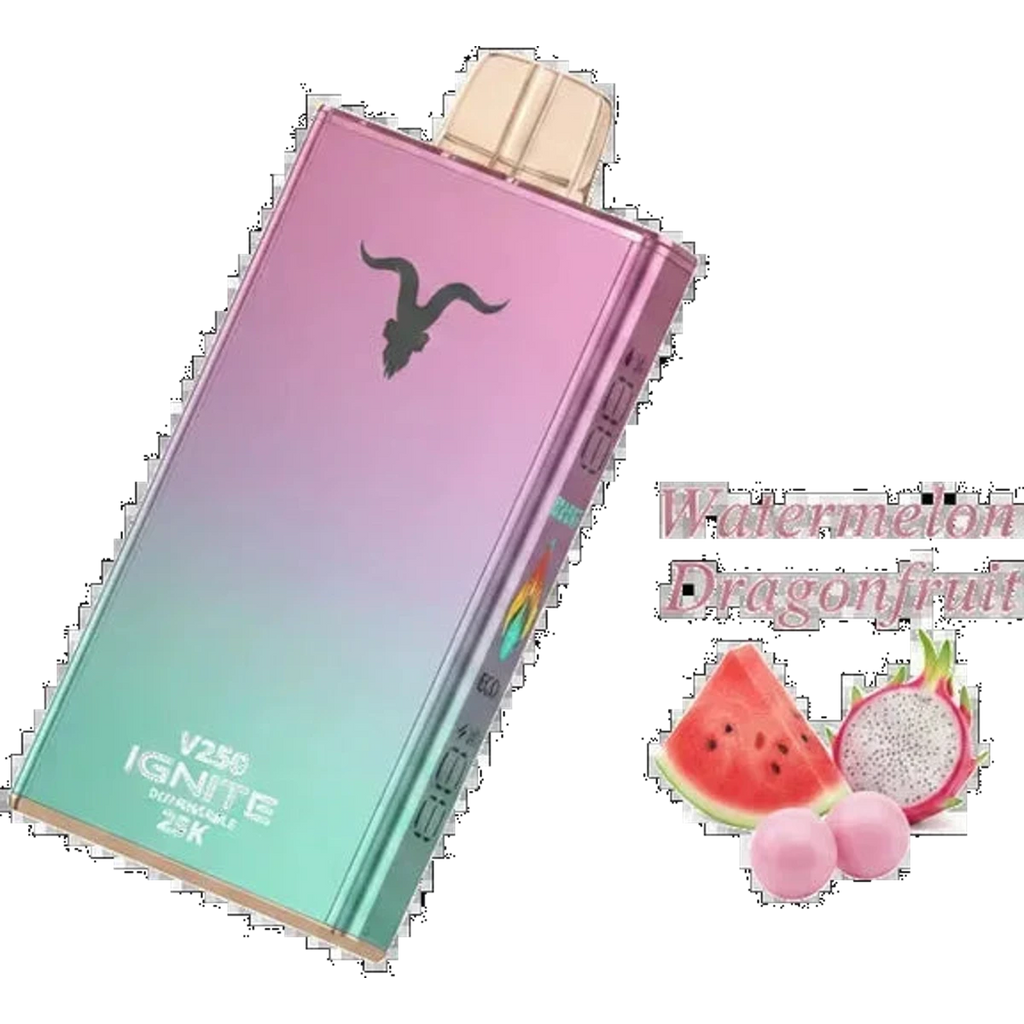 IGNITE V250 25000 Puffs Rechargeable Disposable Vape best price UAE — ESMA certified