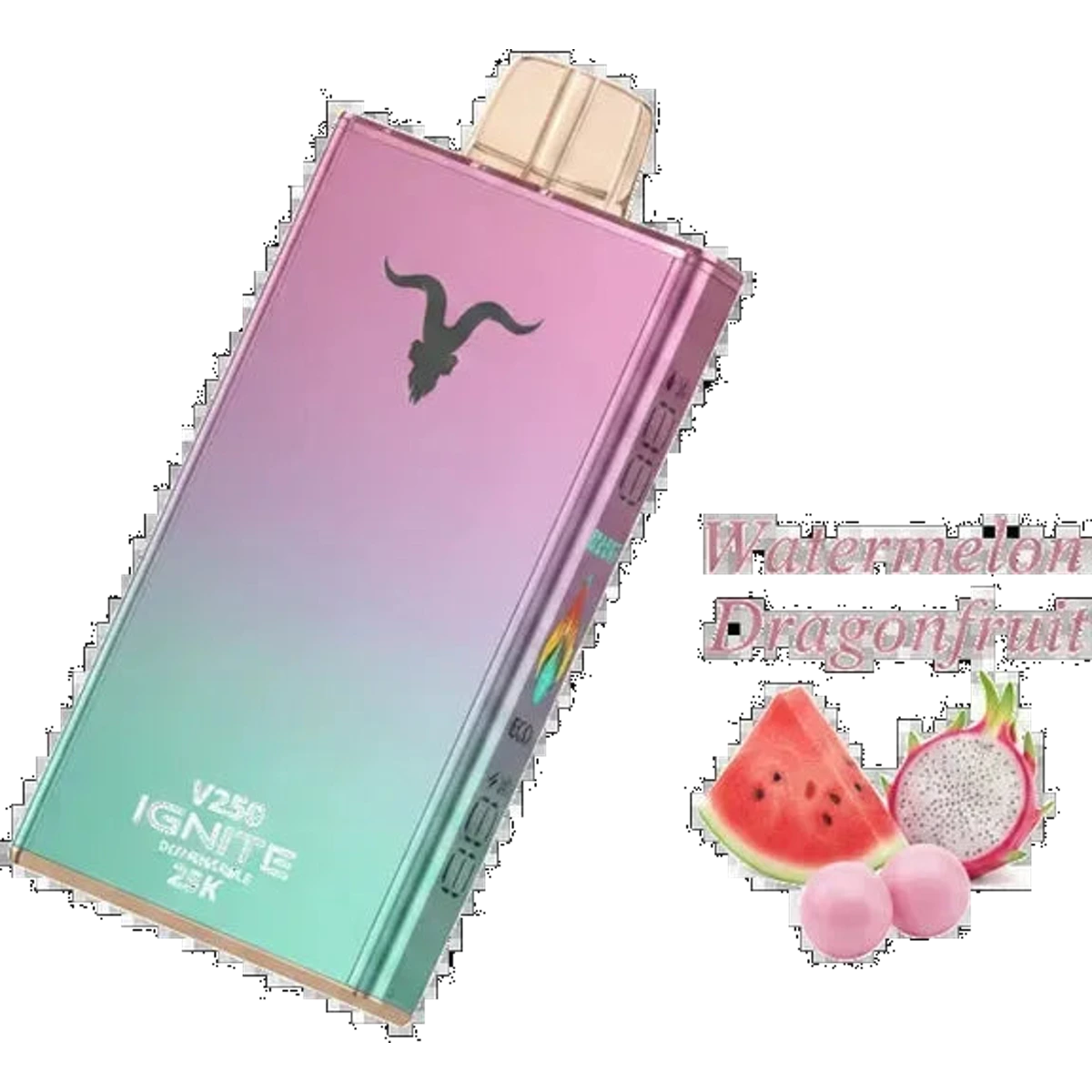 IGNITE V250 25000 Puffs Rechargeable Disposable Vape best price UAE — ESMA certified