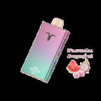 IGNITE V250 25000 Puffs Rechargeable Disposable Vape best price UAE — ESMA certified