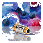 Buy GeekVape Best Buy GeekVape G Pod Coils Dubai same-day delivery