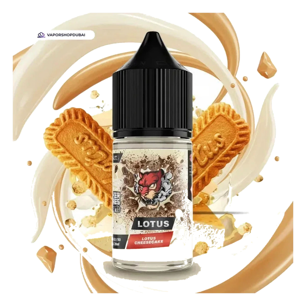 Buy Emirates Vapor Dr Vapes Cheesecake Salt Nic 30ml Dubai same-day delivery