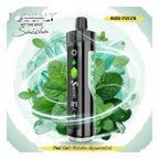 POD SALT Shisha 8000 Puffs DTL 3mg best price UAE — ESMA certified