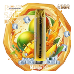 POD SALT Onyx 4000 Puffs Disposable Vape 20mg/ml UAE — Buy Dubai | Emirates Vapor