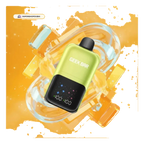 Buy Emirates Vapor Geek Bar Ice Prince 50000 Puffs Disposable Vape Dubai same-day delivery