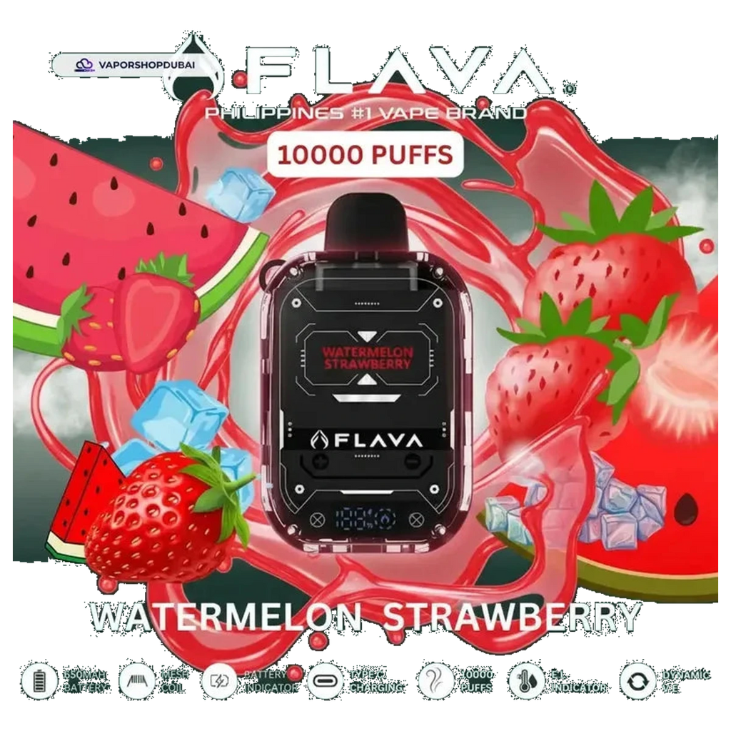 Buy Emirates Vapor Flava Nimmbox 10000 Puffs Disposable Vape Dubai same-day delivery