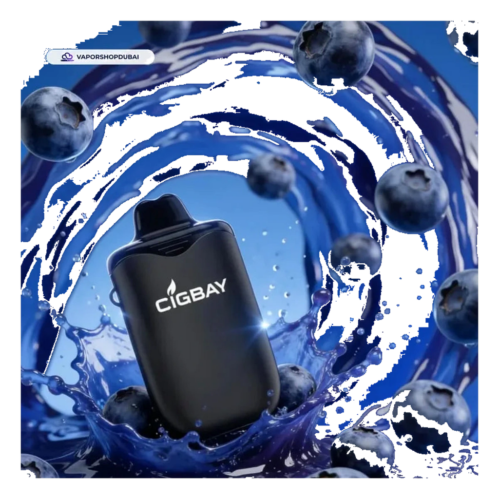 Cigbay 26000 Puffs Disposable Vape Kit 20mg flavors UAE | Emirates Vapor Dubai