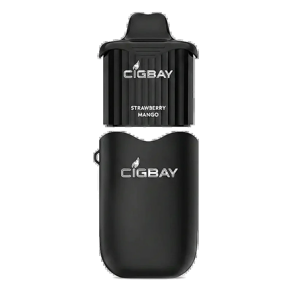 Cigbay 26000 Puffs Disposable Vape Kit 20mg flavors UAE | Emirates Vapor Dubai