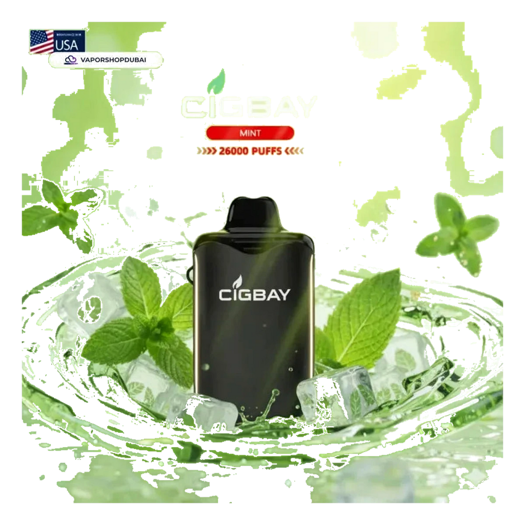 Cigbay 26000 Puffs Disposable Vape Kit 20mg UAE — Buy Dubai | Emirates Vapor