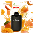 Cigbay 26000 Puffs Disposable Vape Kit 20mg flavors UAE | Emirates Vapor Dubai