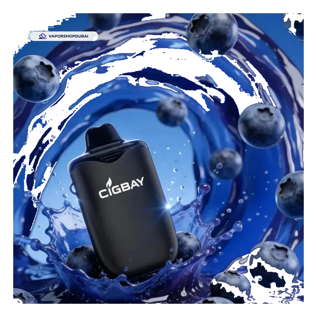 Cigbay 26000 Puffs Disposable Vape Kit 20mg UAE — Buy Dubai | Emirates Vapor
