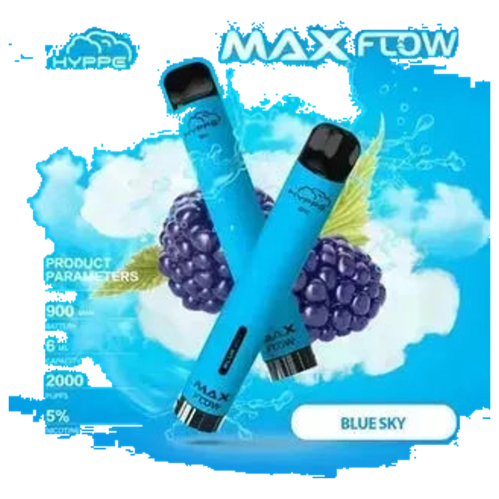 Hyppe MAX Best Vape Shop (2026) best price UAE — ESMA certified