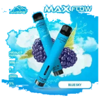 Hyppe MAX Best Vape Shop (2026) best price UAE — ESMA certified