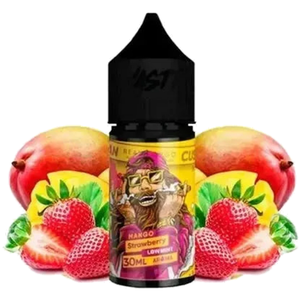 NASTY SALTNIC Best Vape Shop (2026) UAE — Buy Dubai | Emirates Vapor