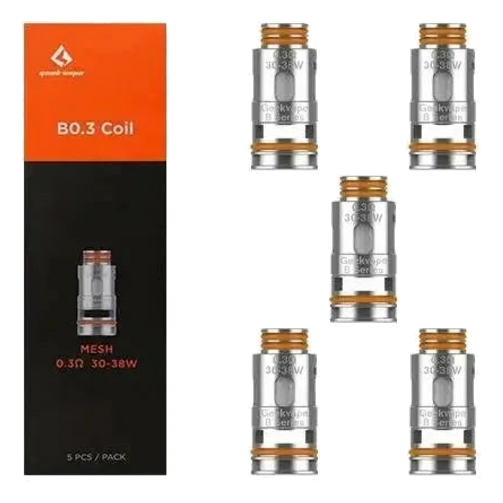GEEK B Best Vape Shop (2026) UAE — Buy Dubai | Emirates Vapor