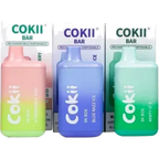 COKII BAR Best Vape Shop (2026) best price UAE — ESMA certified
