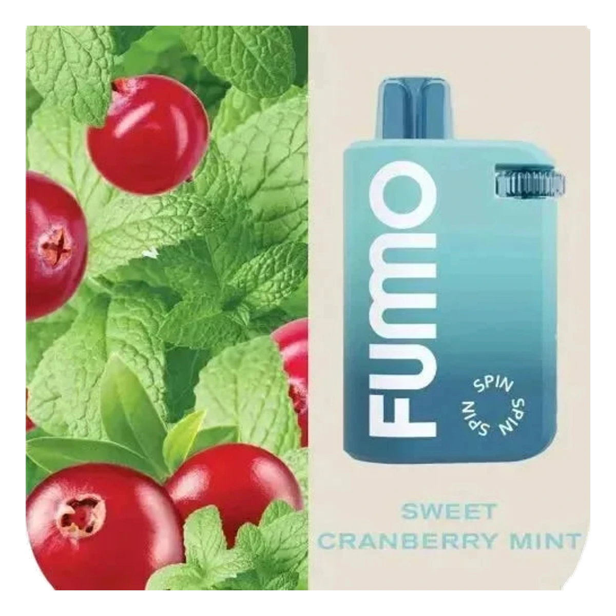 FUMMO SPIN Best Vape Shop (2026) UAE — Buy Dubai | Emirates Vapor