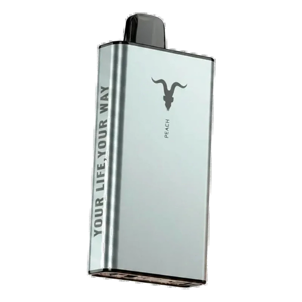 IGNITE Ice 40000 Puffs Ice Control Vape Watermelon UAE | Emirates Vapor