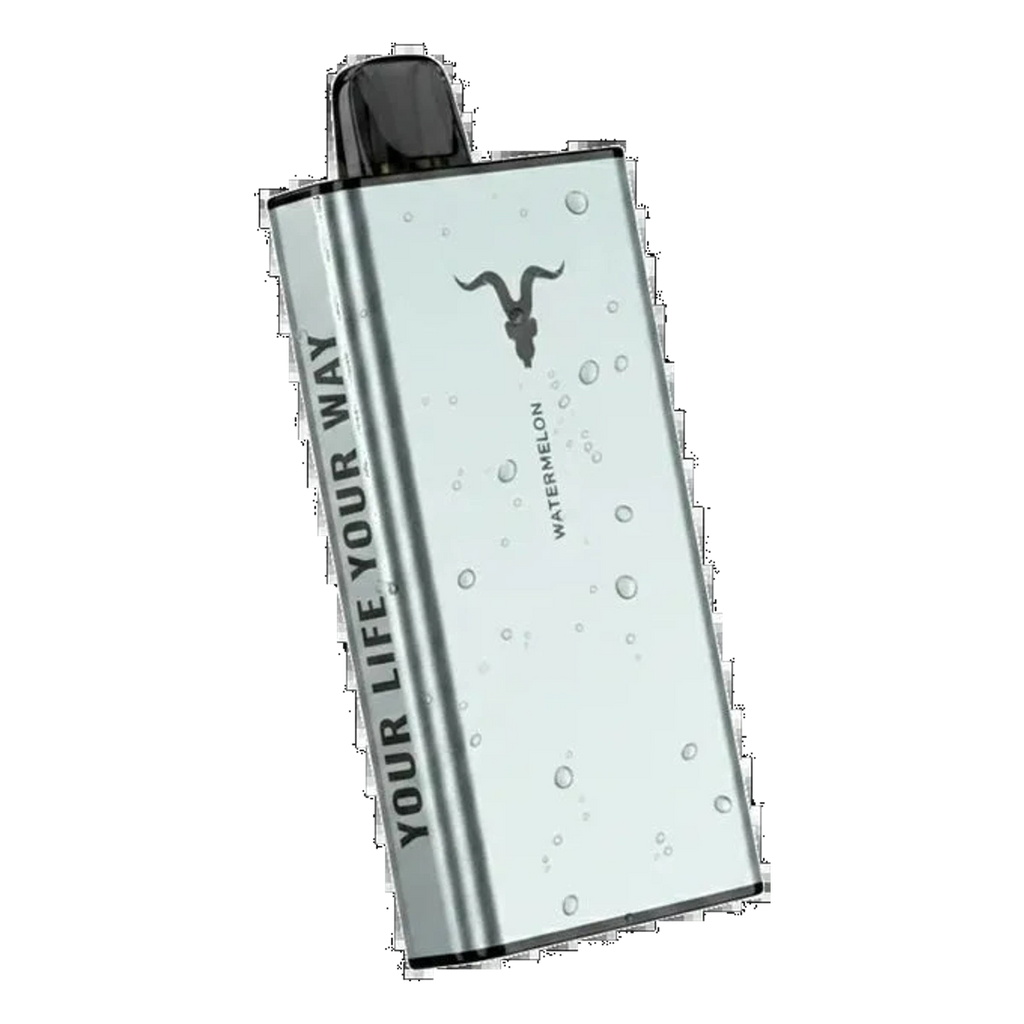 IGNITE Ice 40000 Puffs ice control vape Dubai same-day delivery