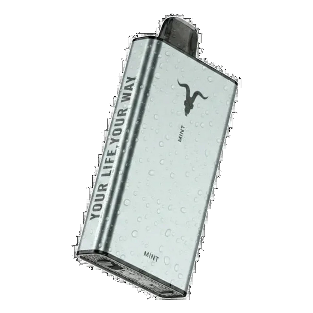Buy IGNITE Ice 40000 Puffs UAE — all 10 flavors | Emirates Vapor