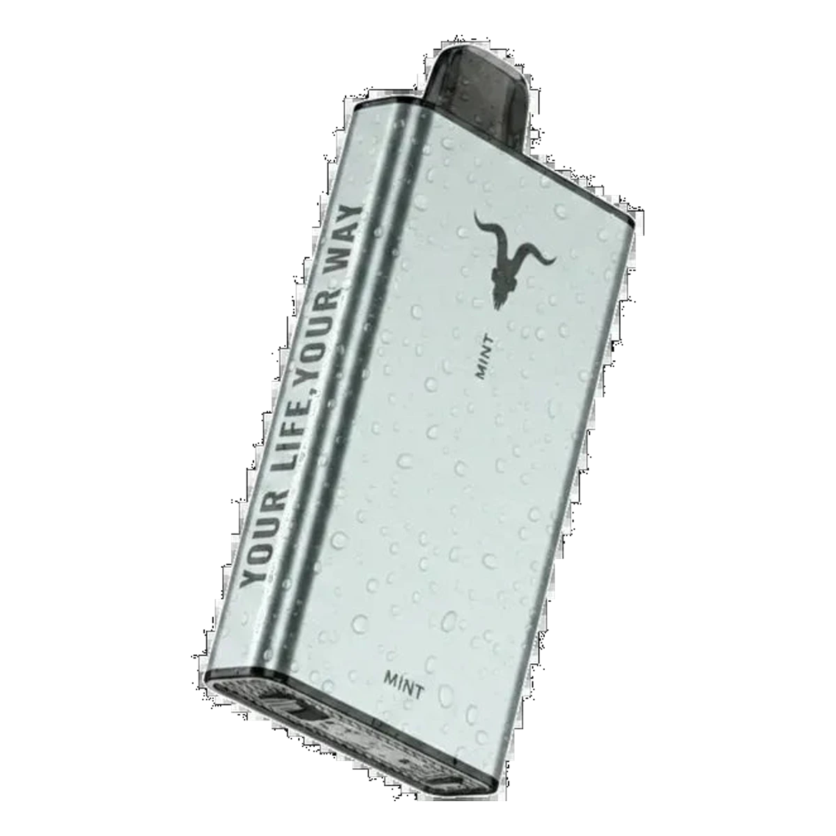 Buy IGNITE Ice 40000 Puffs UAE — all 10 flavors | Emirates Vapor