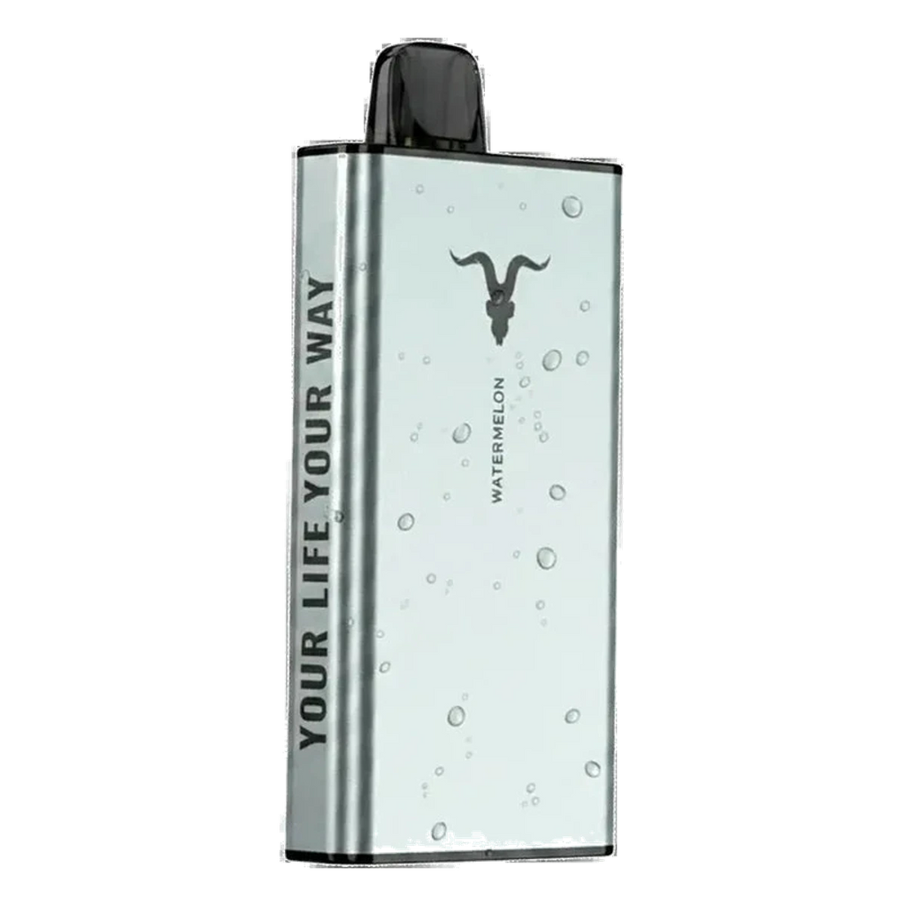 IGNITE Ice 40000 Puffs price UAE AED 75 | Emirates Vapor Dubai