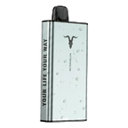 IGNITE Ice 40000 Puffs price UAE AED 75 | Emirates Vapor Dubai