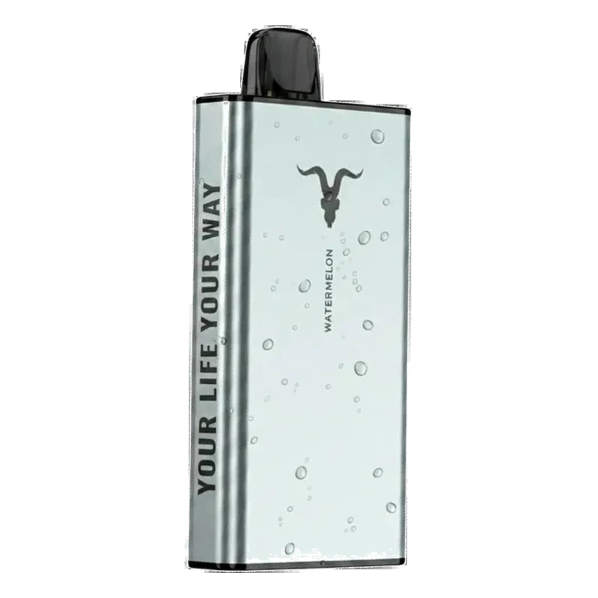 IGNITE Ice 40000 Puffs price UAE AED 75 | Emirates Vapor Dubai