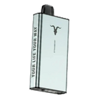 IGNITE Ice 40000 vape Abu Dhabi Sharjah next-day delivery