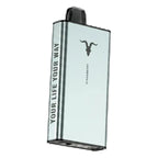 IGNITE Ice 40000 Puffs UAE online order 1-3 hour Dubai delivery