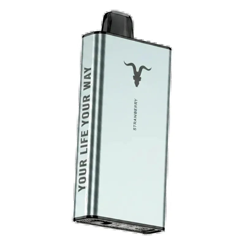 IGNITE Ice 40000 Puffs UAE online order 1-3 hour Dubai delivery