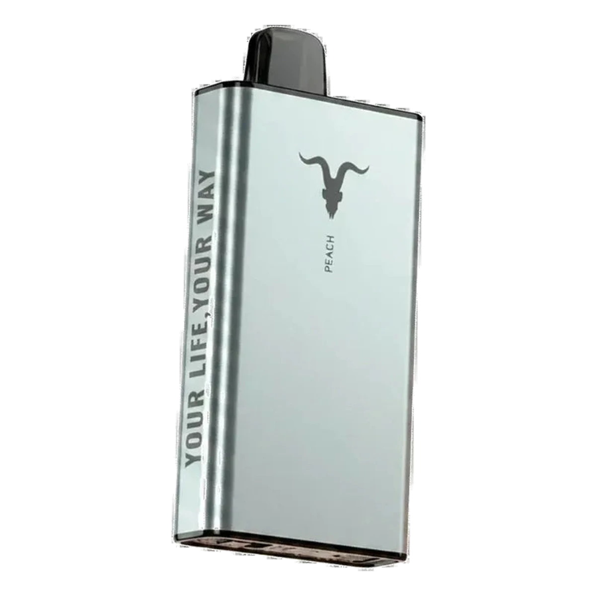Authentic IGNITE Ice 40000 Puffs Dubai — Emirates Vapor
