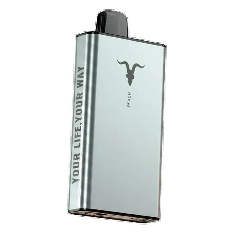 IGNITE Ice 40000 Puffs UAE — AED 75 | Emirates Vapor