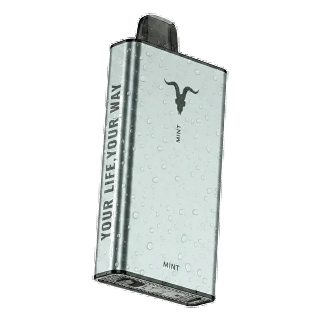 IGNITE Ice 40000 Puffs ice control feature UAE vape