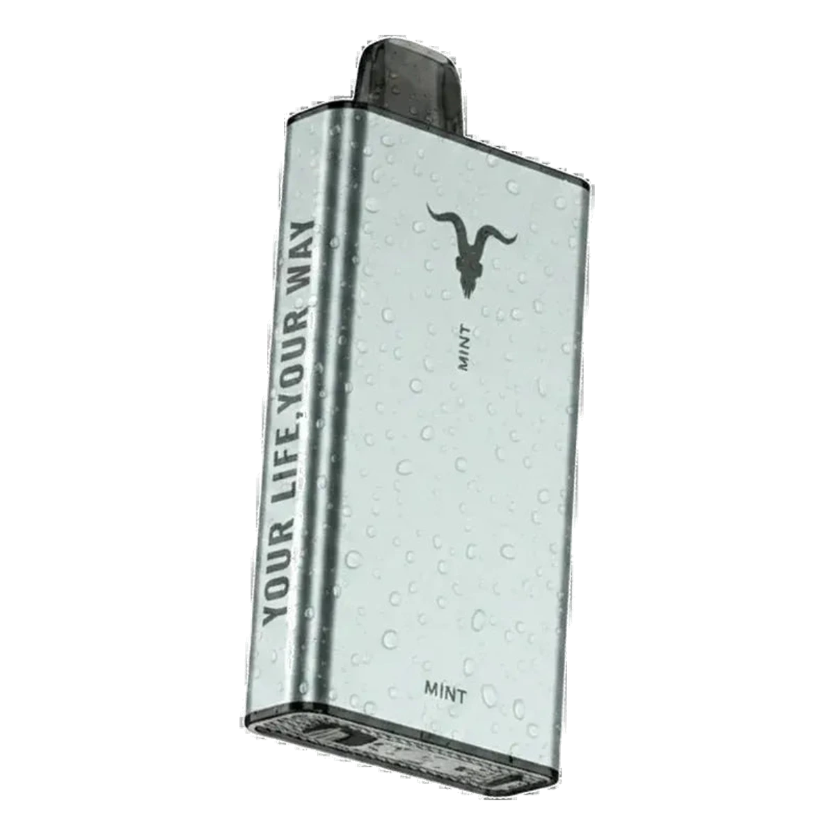 IGNITE Ice 40000 Puffs ice control feature UAE vape