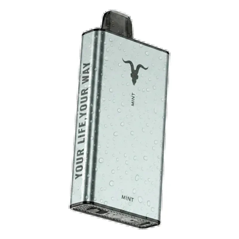 IGNITE Ice 40000 Puffs ice control vape Dubai same-day delivery