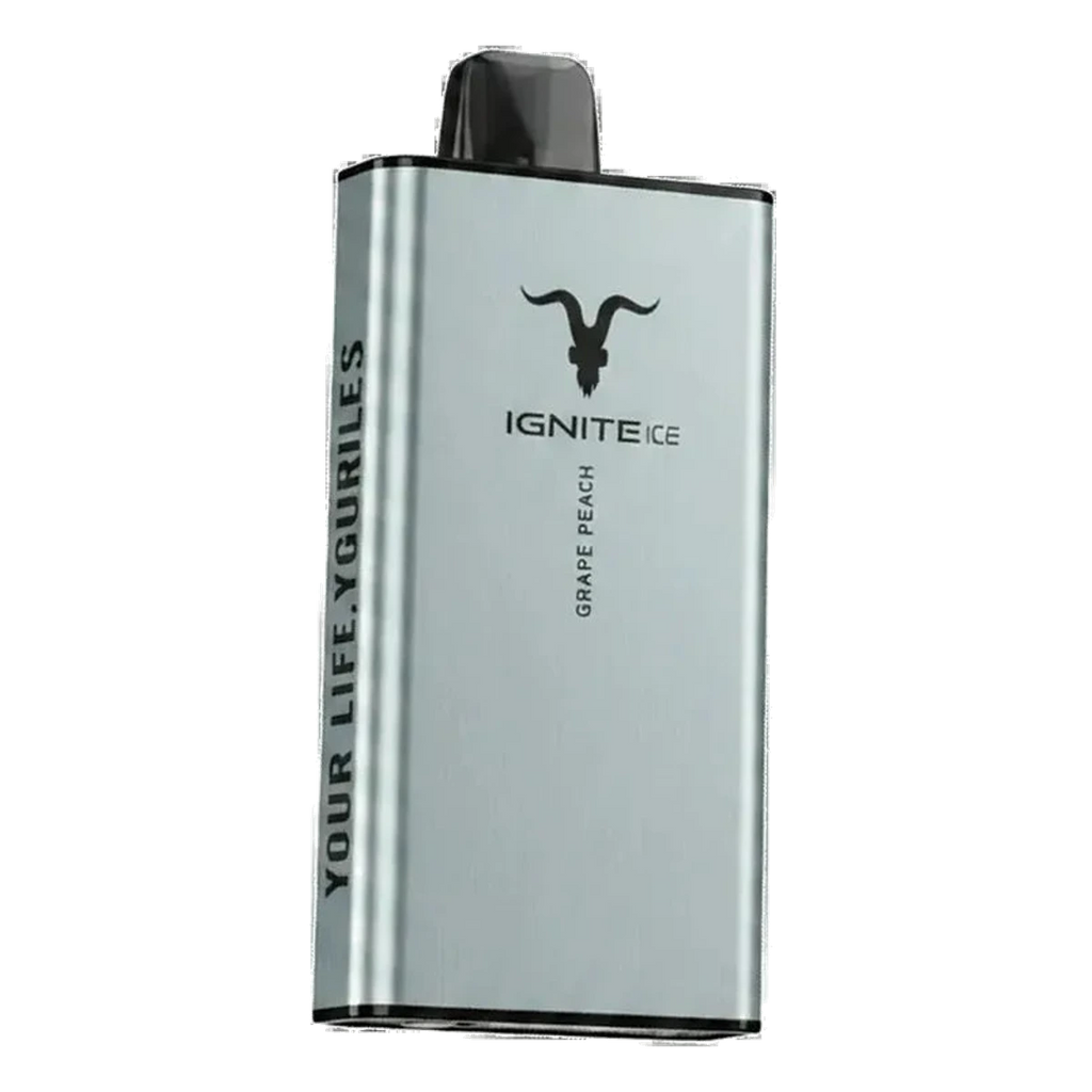 IGNITE Ice 40000 Puffs ice control vape Dubai same-day delivery