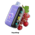 Buy Elfbar Elfbar Raya D3 25000 Puffs Dual Mesh All Flavors Dubai same-day delivery