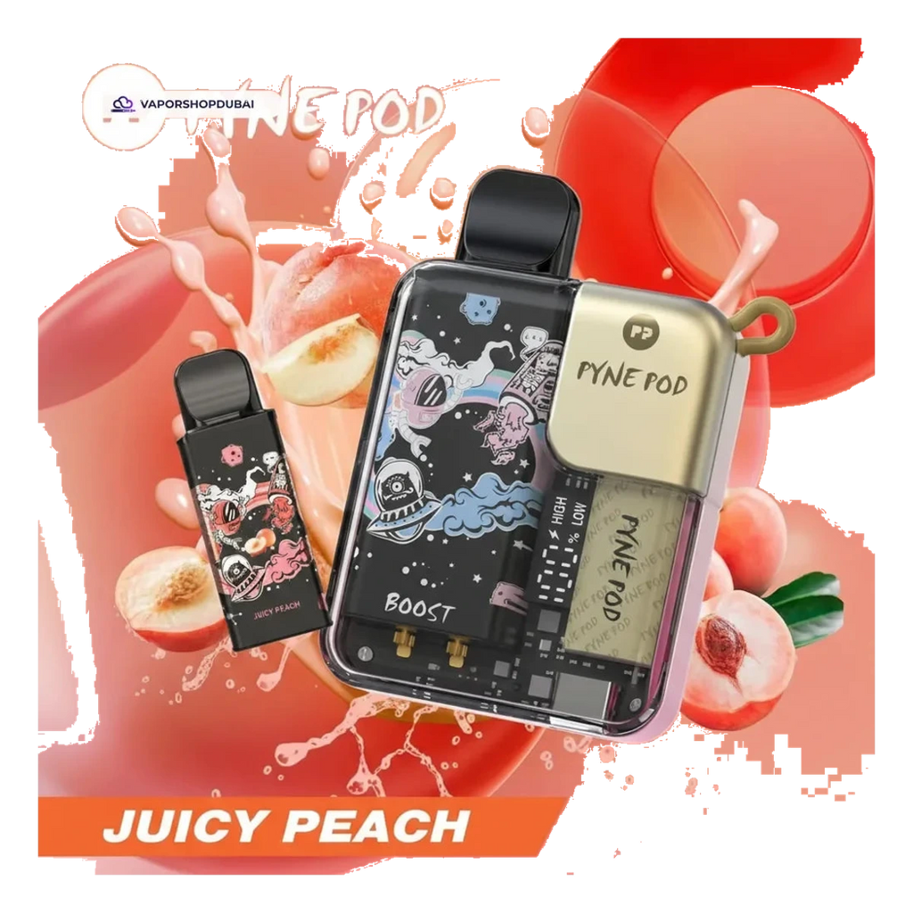 Pyne Pod 8000 Puffs Disposable Vape (Replaceable Pod) flavors UAE | Emirates Vapor Dubai