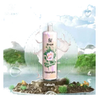 SILR DL Best Vape Shop UAE — Buy Dubai | Emirates Vapor