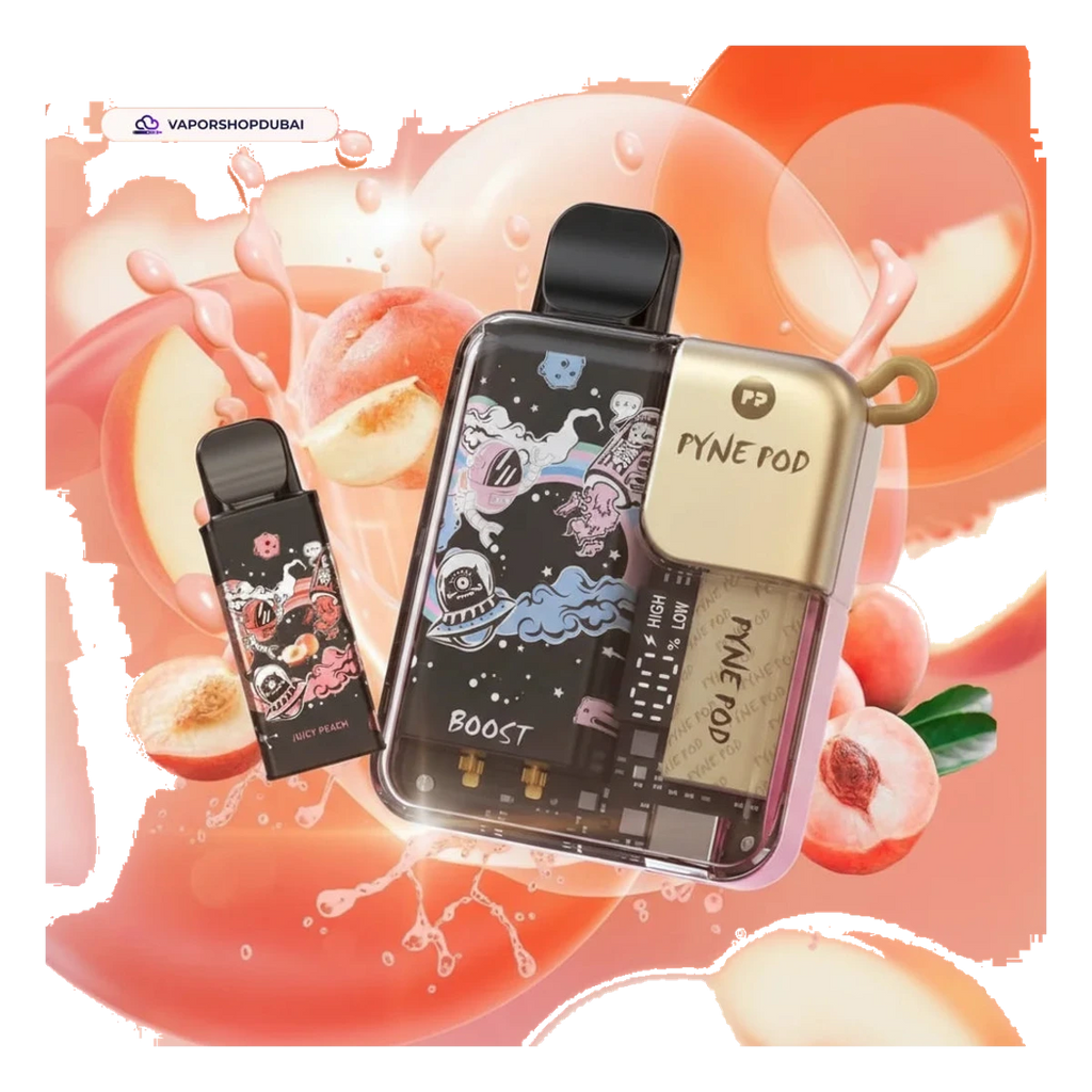 Pyne Pod 8000 Puffs Disposable Vape (Replaceable Pod) Uae — AED 40 | Emirates Vapor