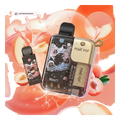Pyne Pod 8000 Puffs Disposable Vape (Replaceable Pod) juicy-peach UAE | Emirates Vapor