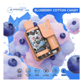 Pyne Pod 8500 Disposable Vape blueberry-raspbery UAE | Emirates Vapor