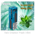 Relx Creator Extra Pods 1pcs Pack fresh-mint-15000-puffs UAE | Emirates Vapor