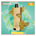 SIKARY FIT 12000 Puffs Disposable Vape 20mg/ml nicotine miami-mint UAE | Emirates Vapor