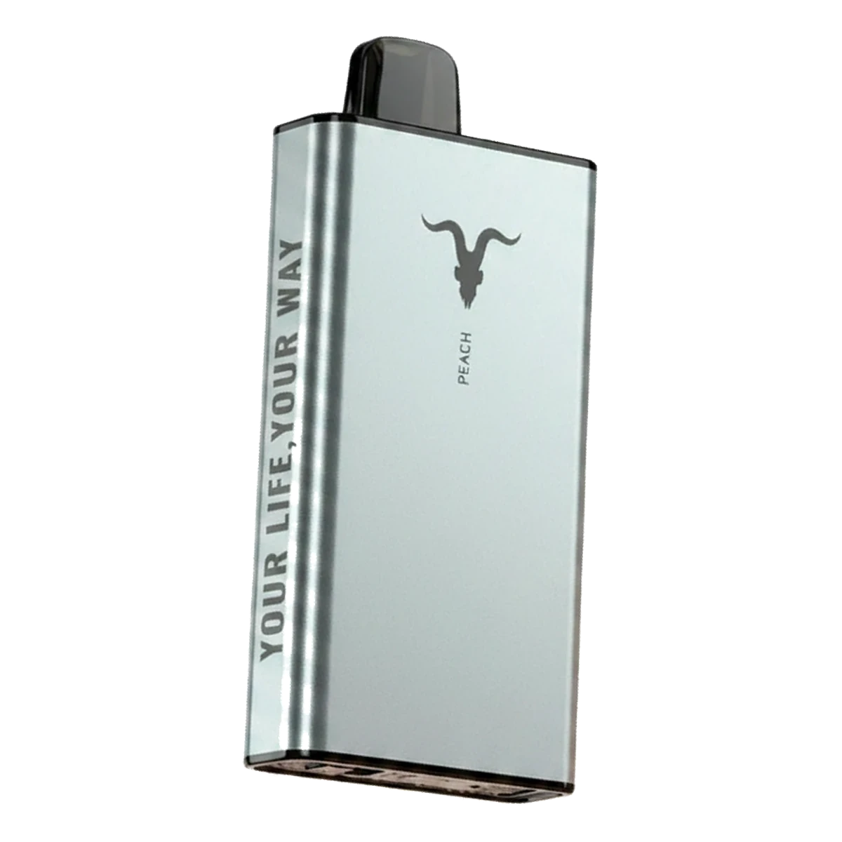 IGNITE Ice 40000 Puffs Dubai — Ice Control Vape, AED 75 UAE