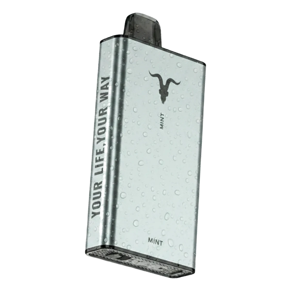 IGNITE Ice 40000 Puffs Dubai — Ice Control Vape, AED 75 UAE